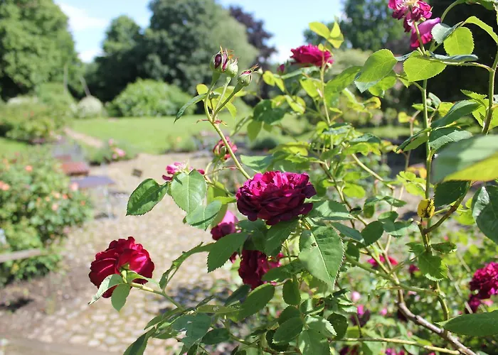 Gutshaus Gottin Warnkenhagen (Rostock)